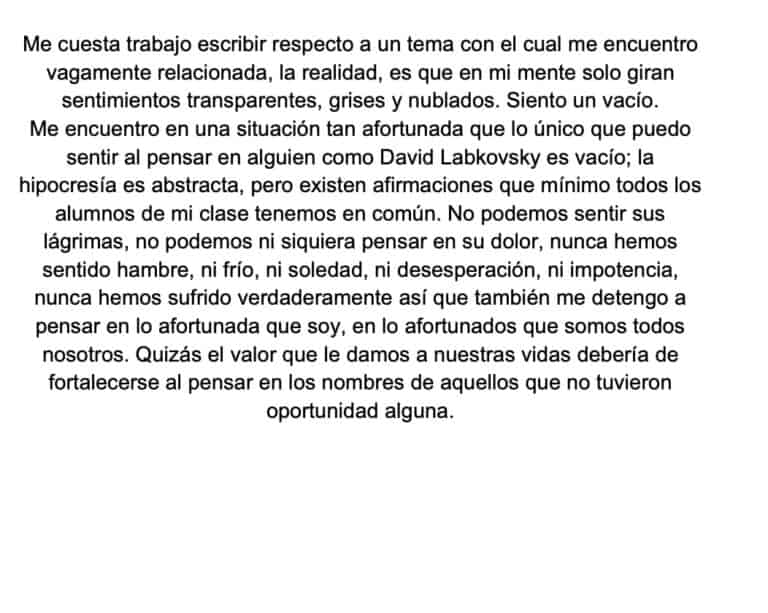 gabriela-meschoulam-mi-producto-de-arte_orig